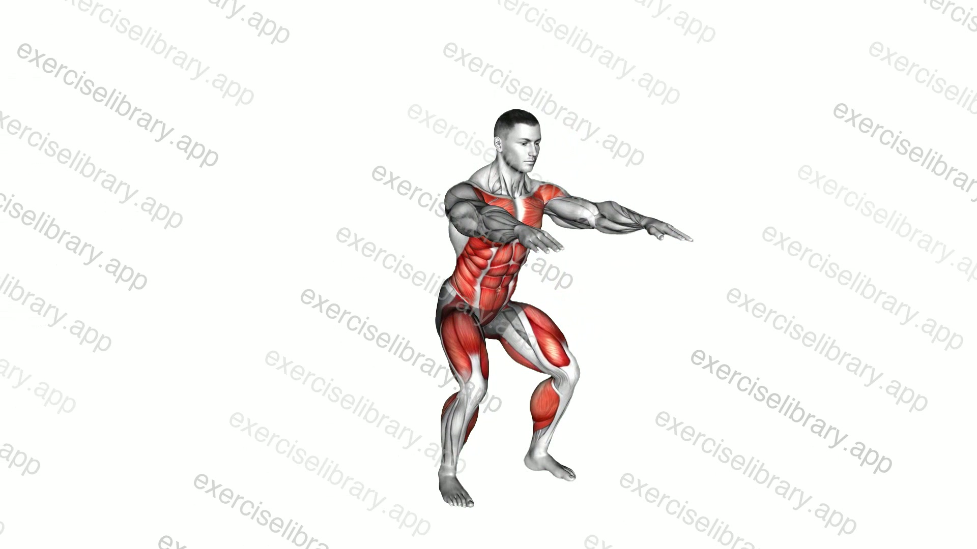 Burpee Squat demonstration