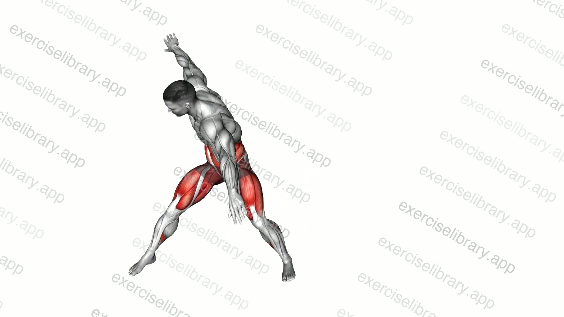 Diagonal Lunge demonstration