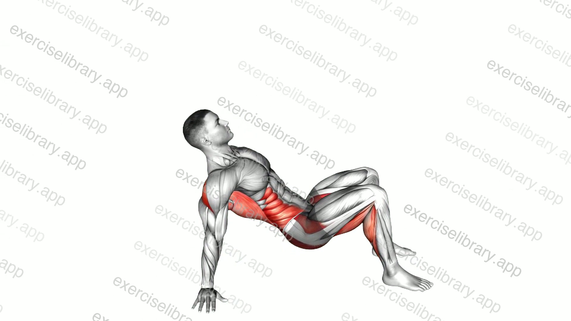 Thoracic Bridge demonstration