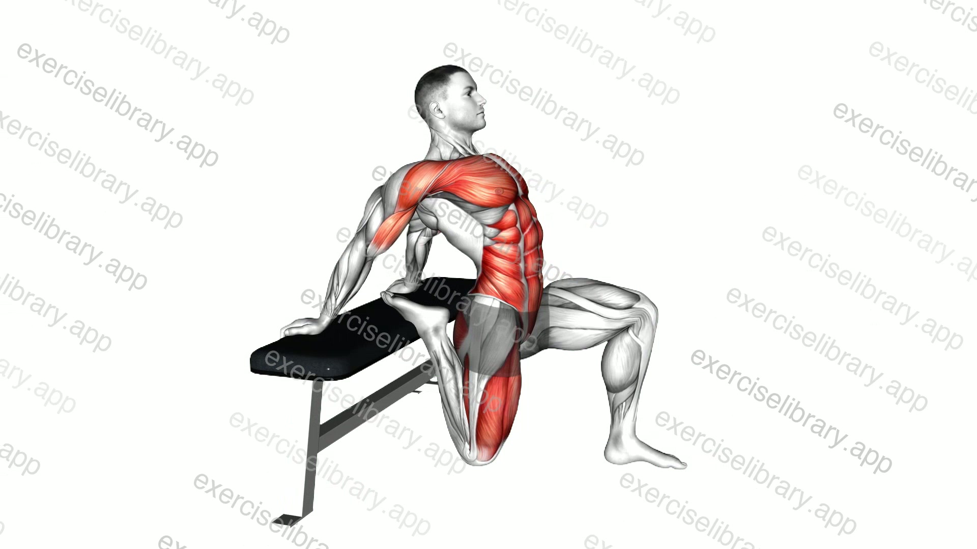 Couch Stretch demonstration