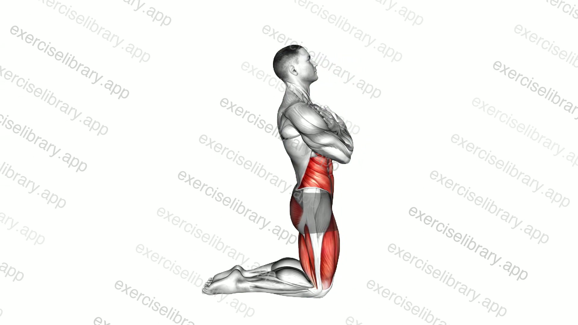Body Extension demonstration
