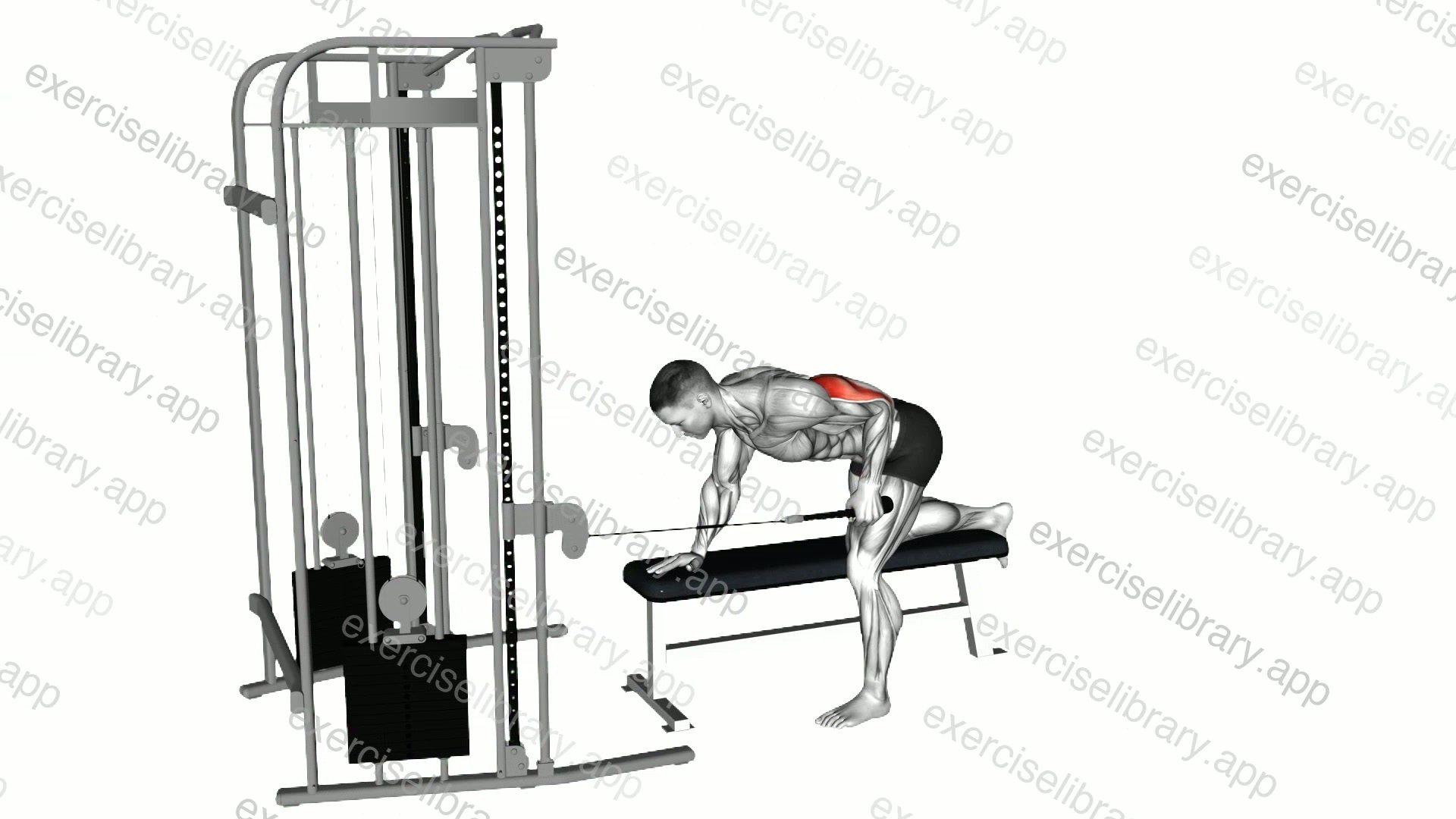 Cable Bent Over Single Arm Neutral Grip Kickback with Rope Attachment demonstration