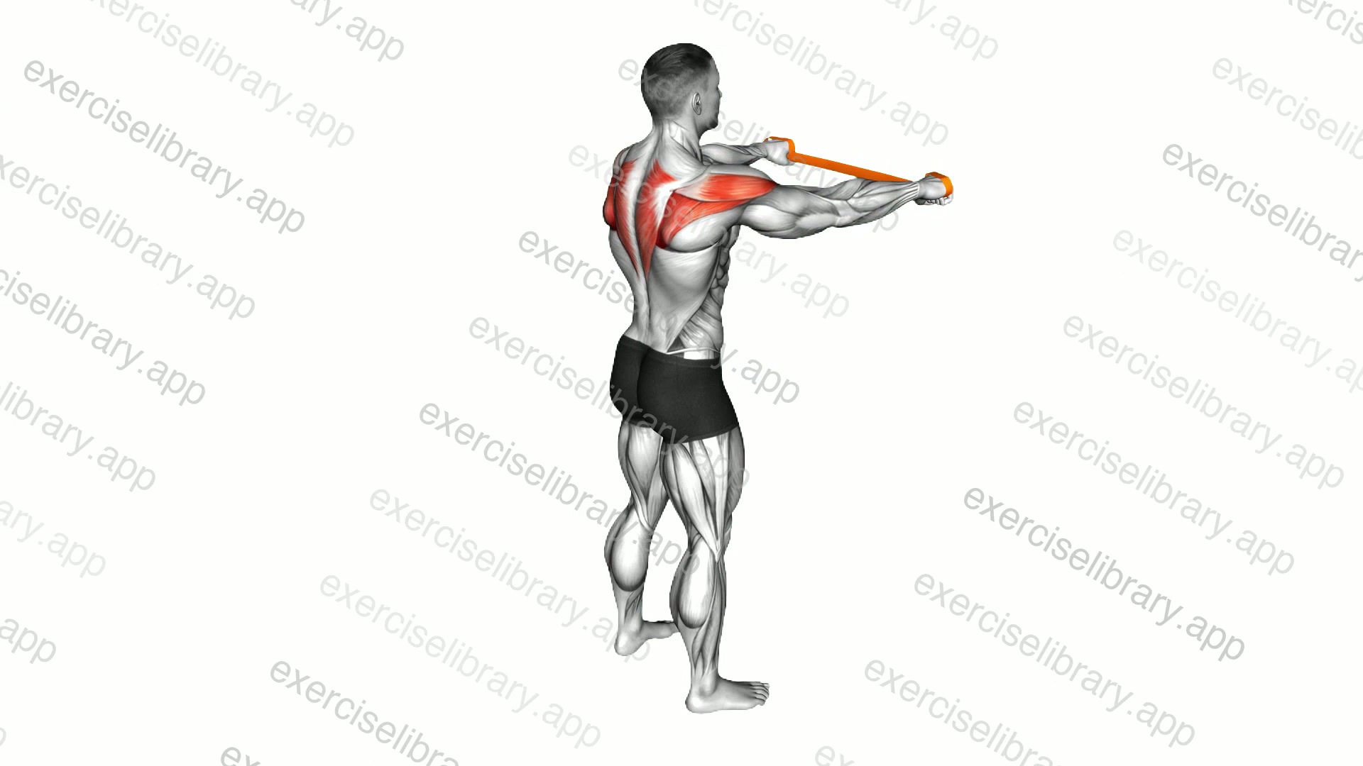 Resistance Band Pull Apart demonstration