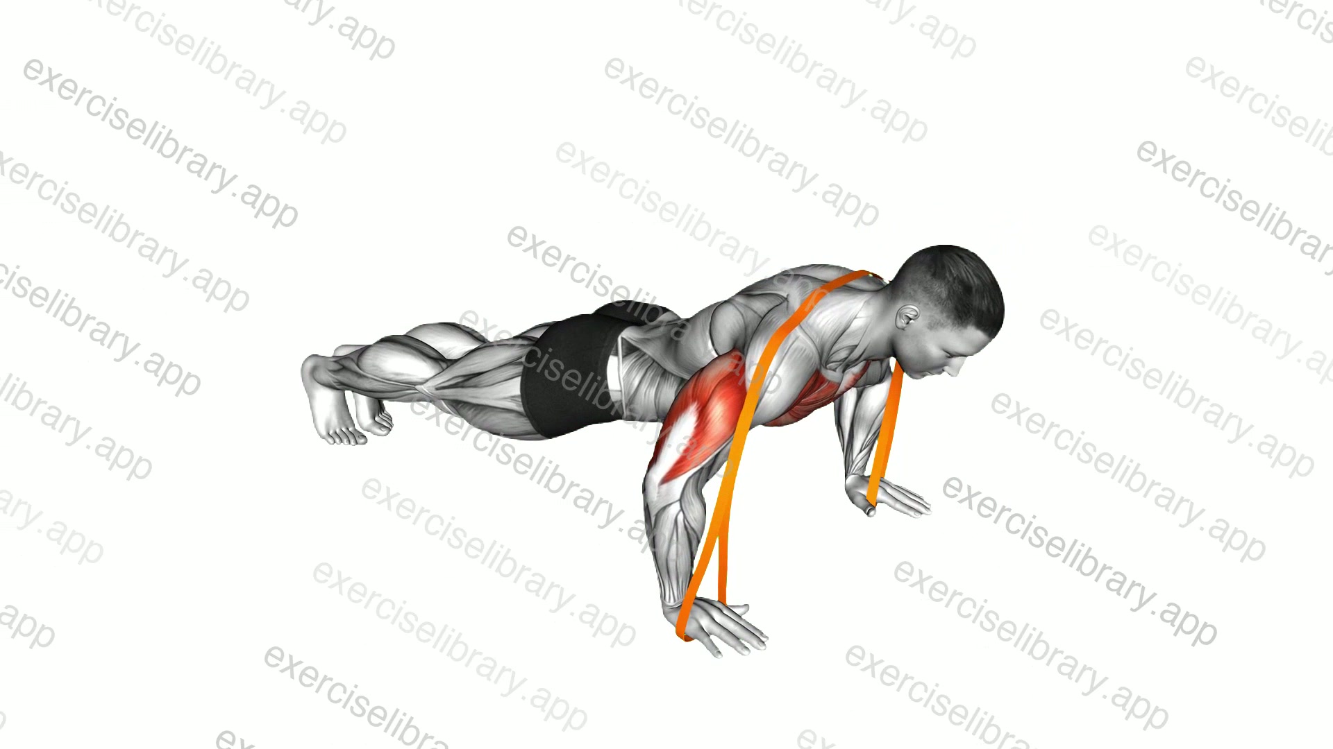 Resistance Band Push-Up demonstration