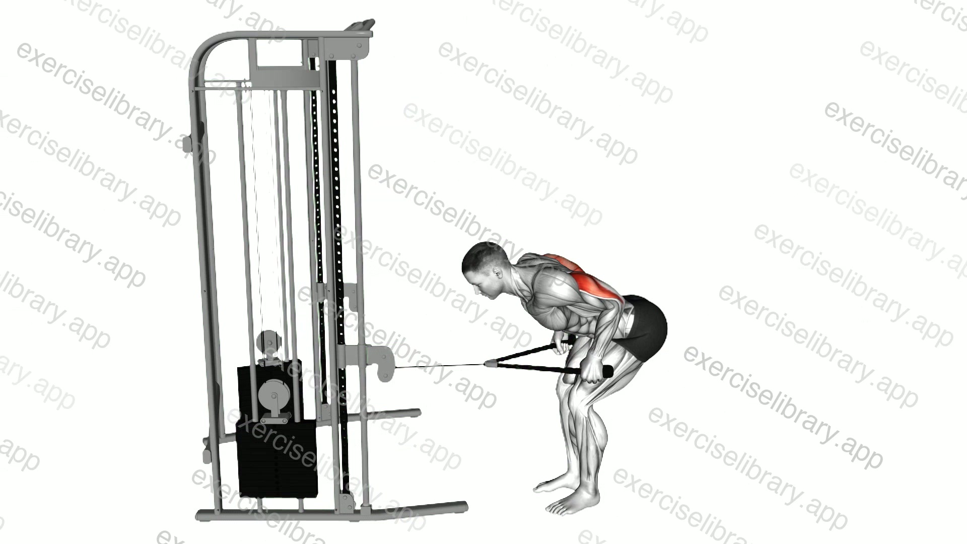 Cable Bent Over Neutral Grip Kickback with Rope Attachment demonstration