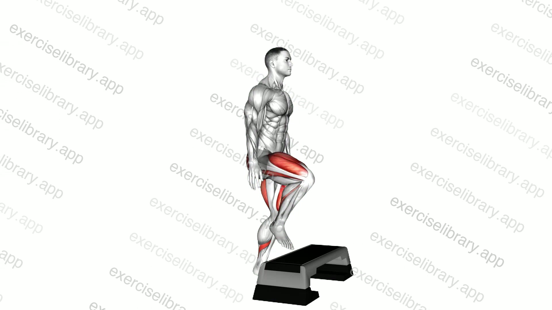 Bodyweight Step-up on Stepbox demonstration