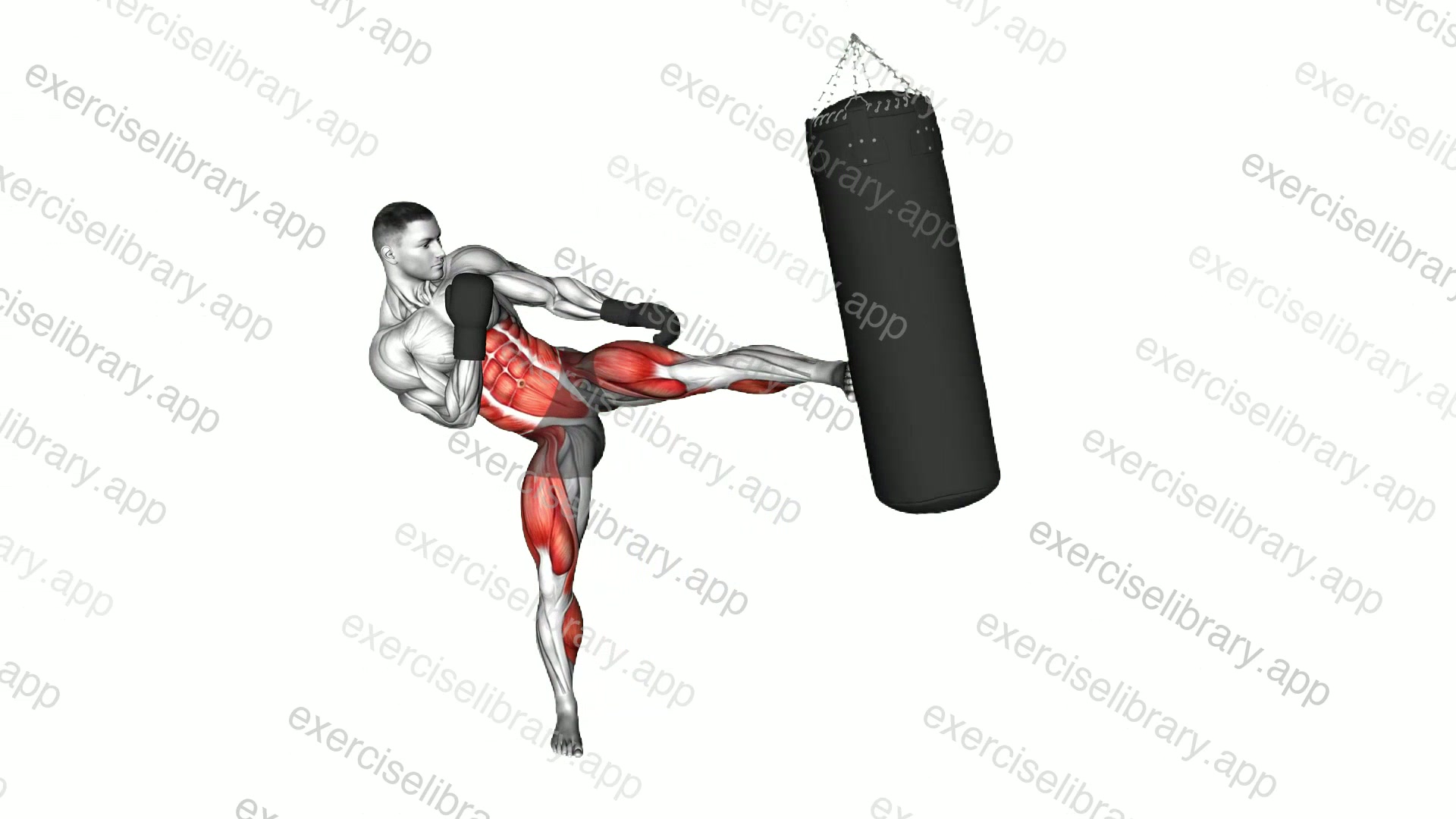 Hook Kick Kickboxing demonstration