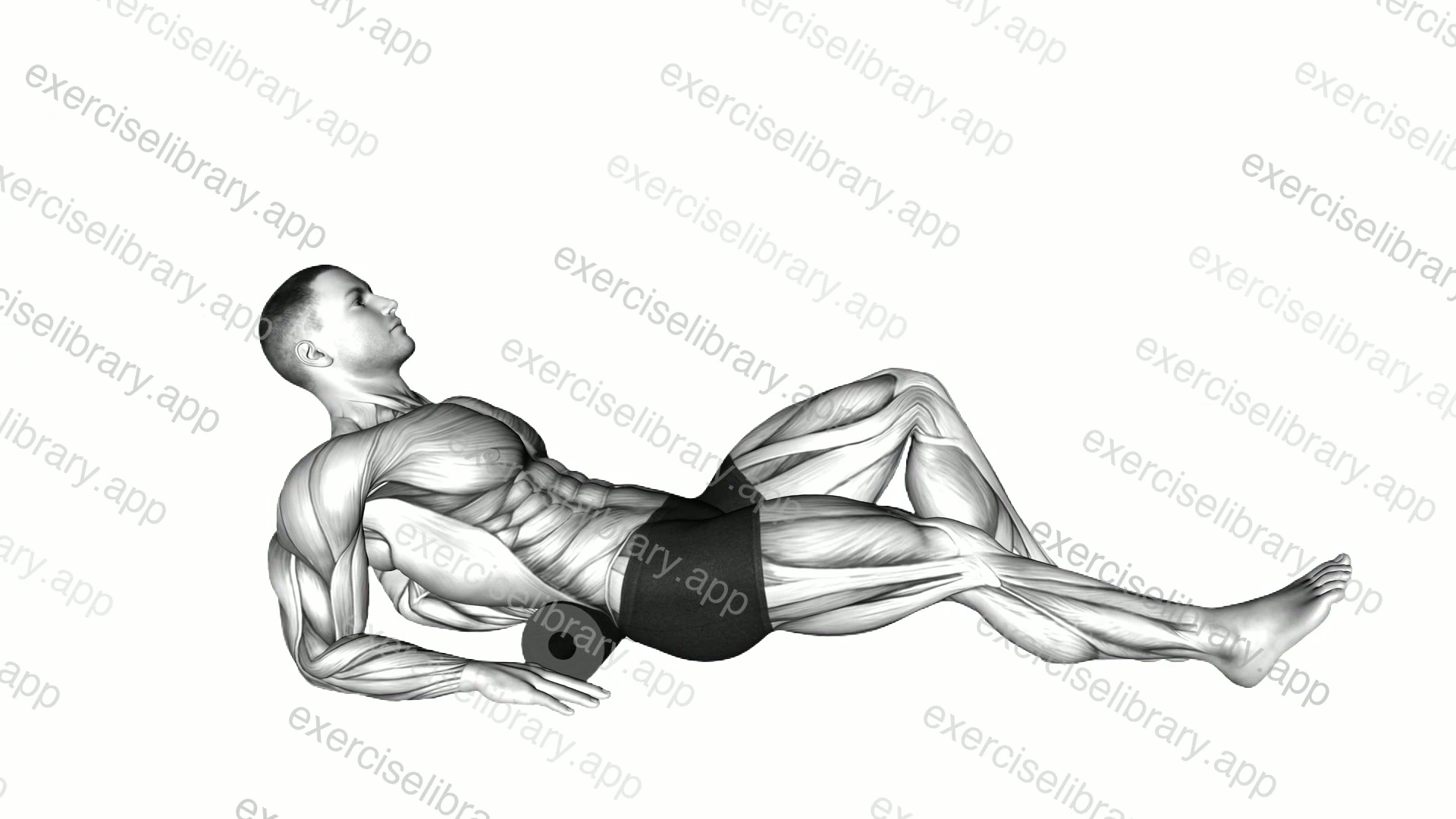 Roll Ball Lower Back demonstration