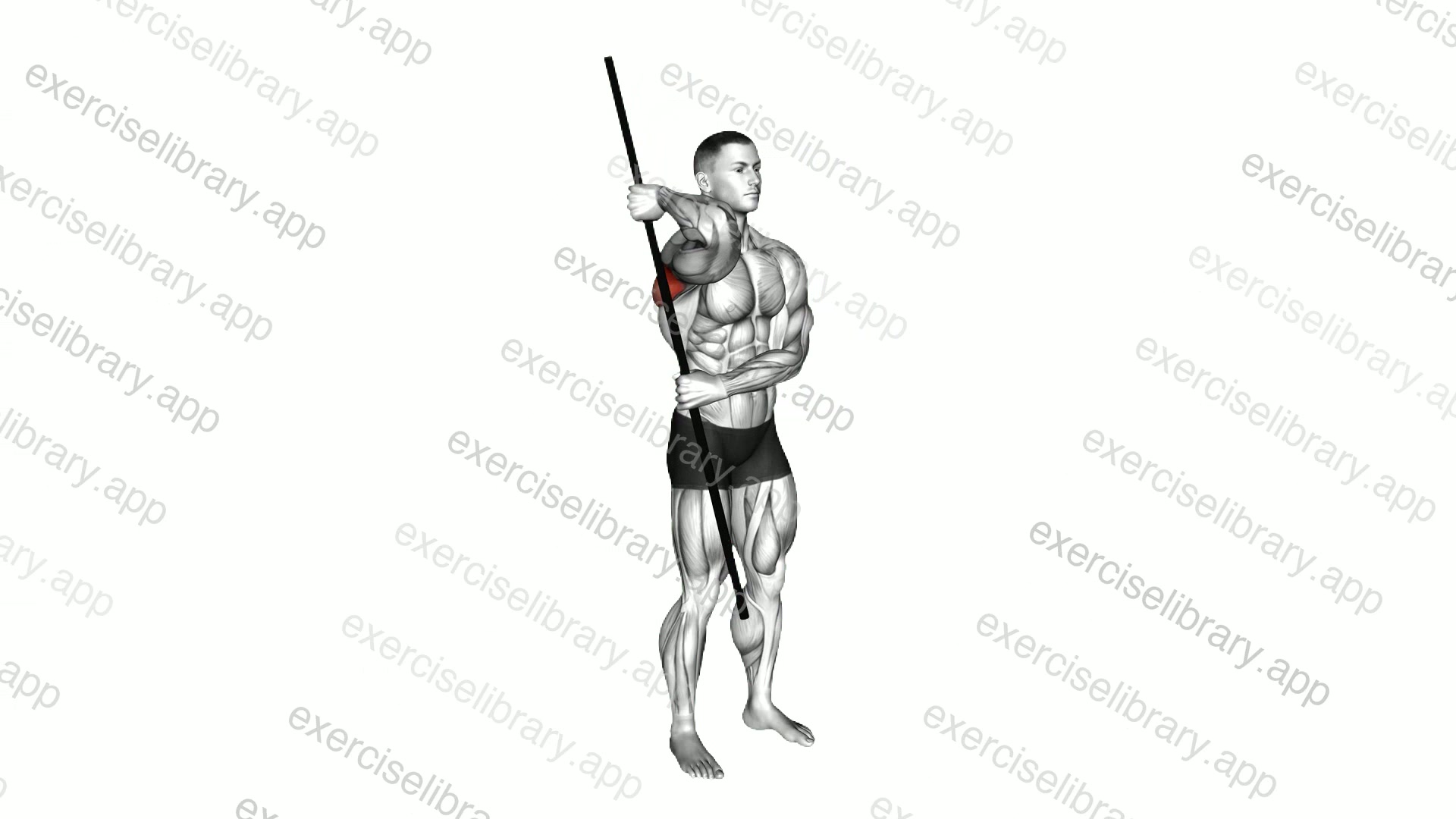 Stick External Rotation demonstration
