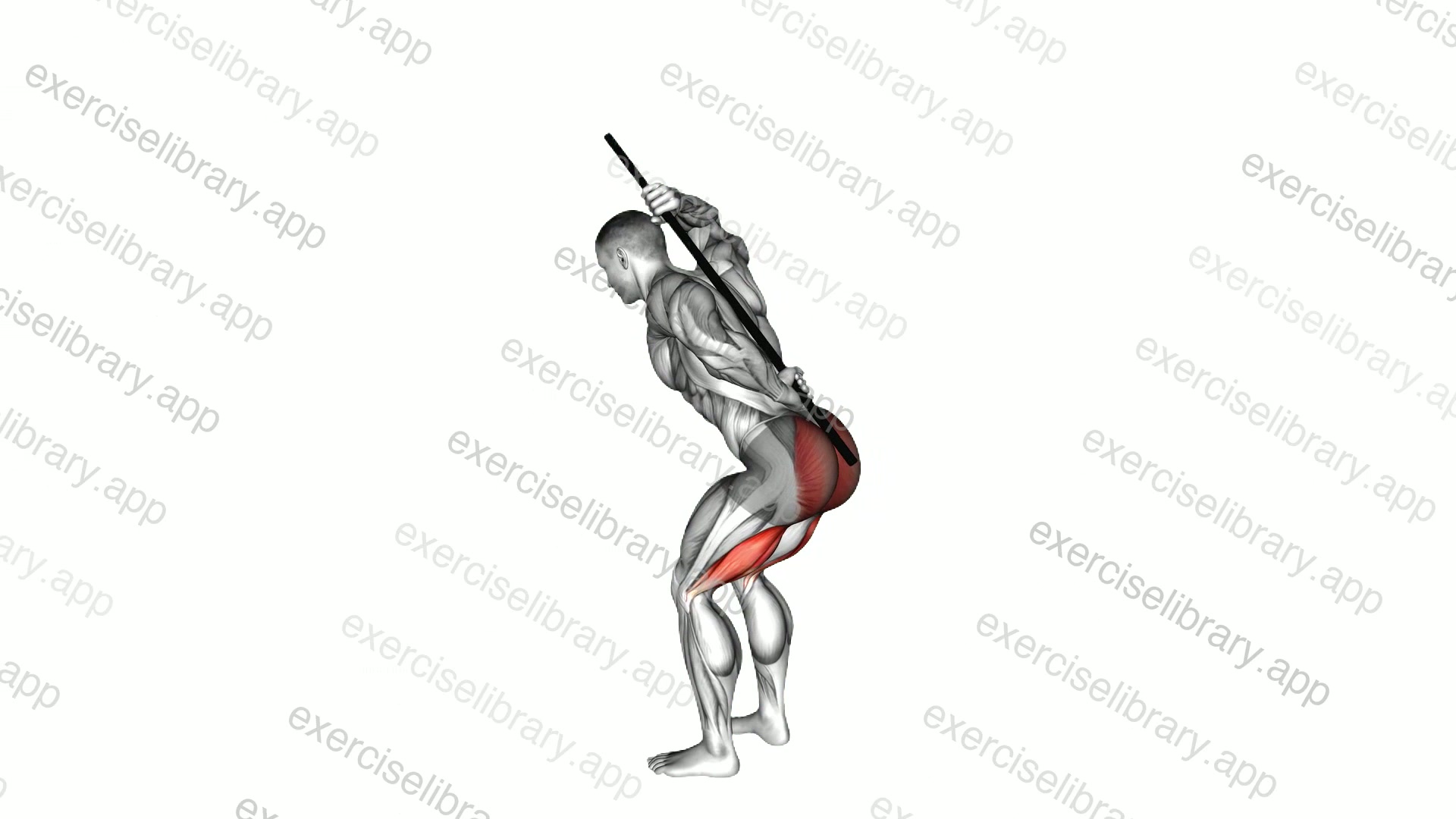Stick Hip Hinge demonstration