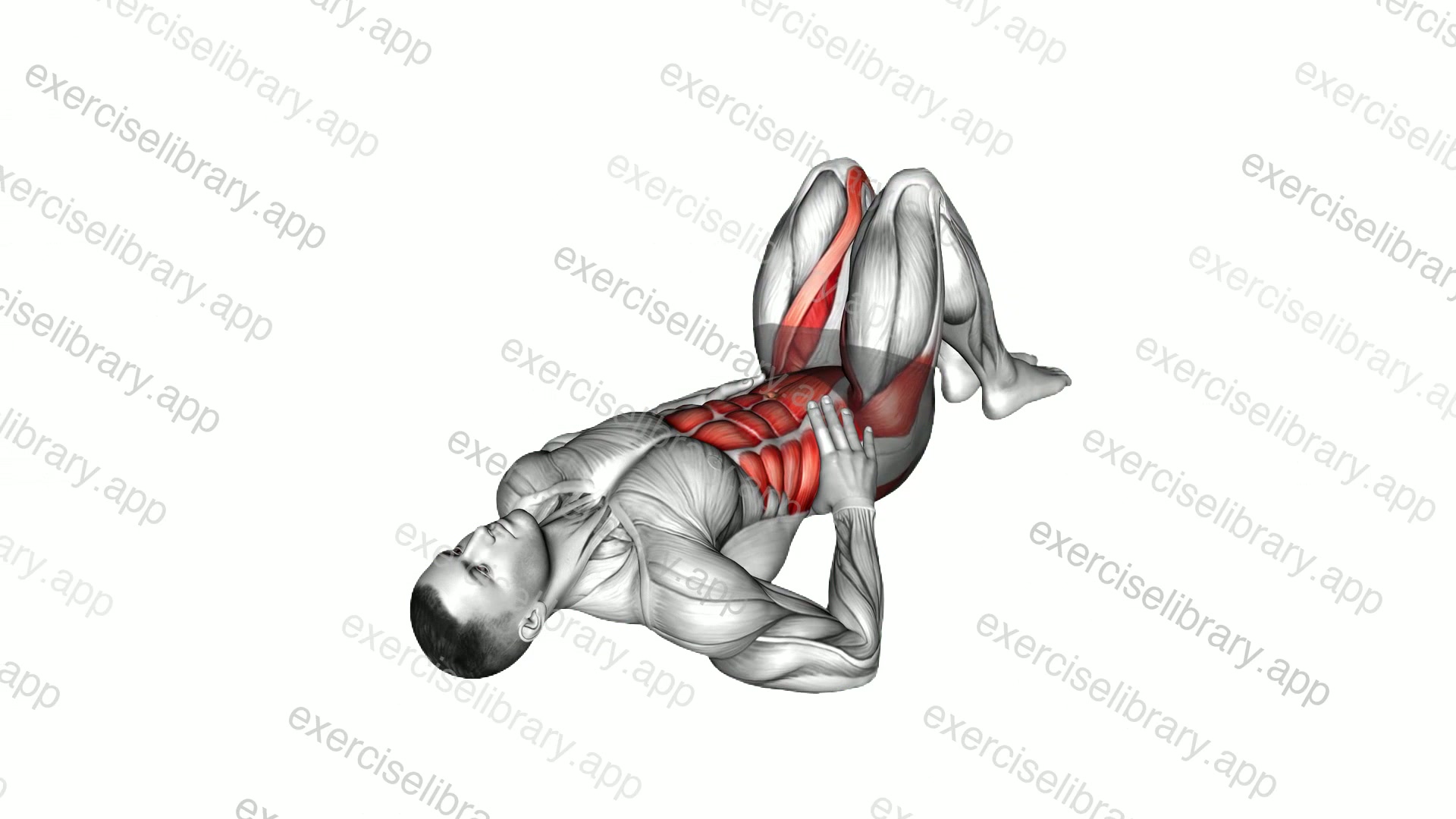 Lying Side to Side Knee demonstration