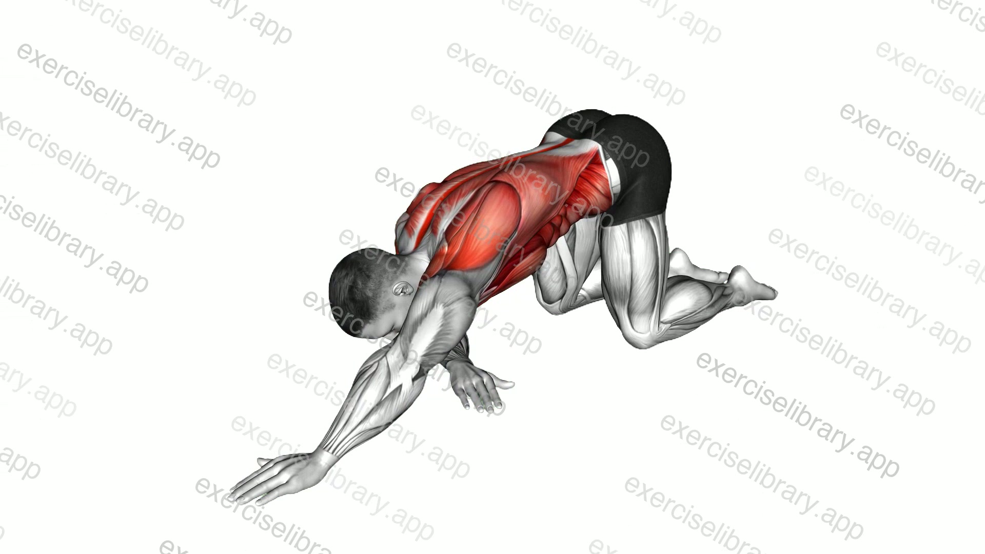 Parsva Balasana Yoga Pose demonstration
