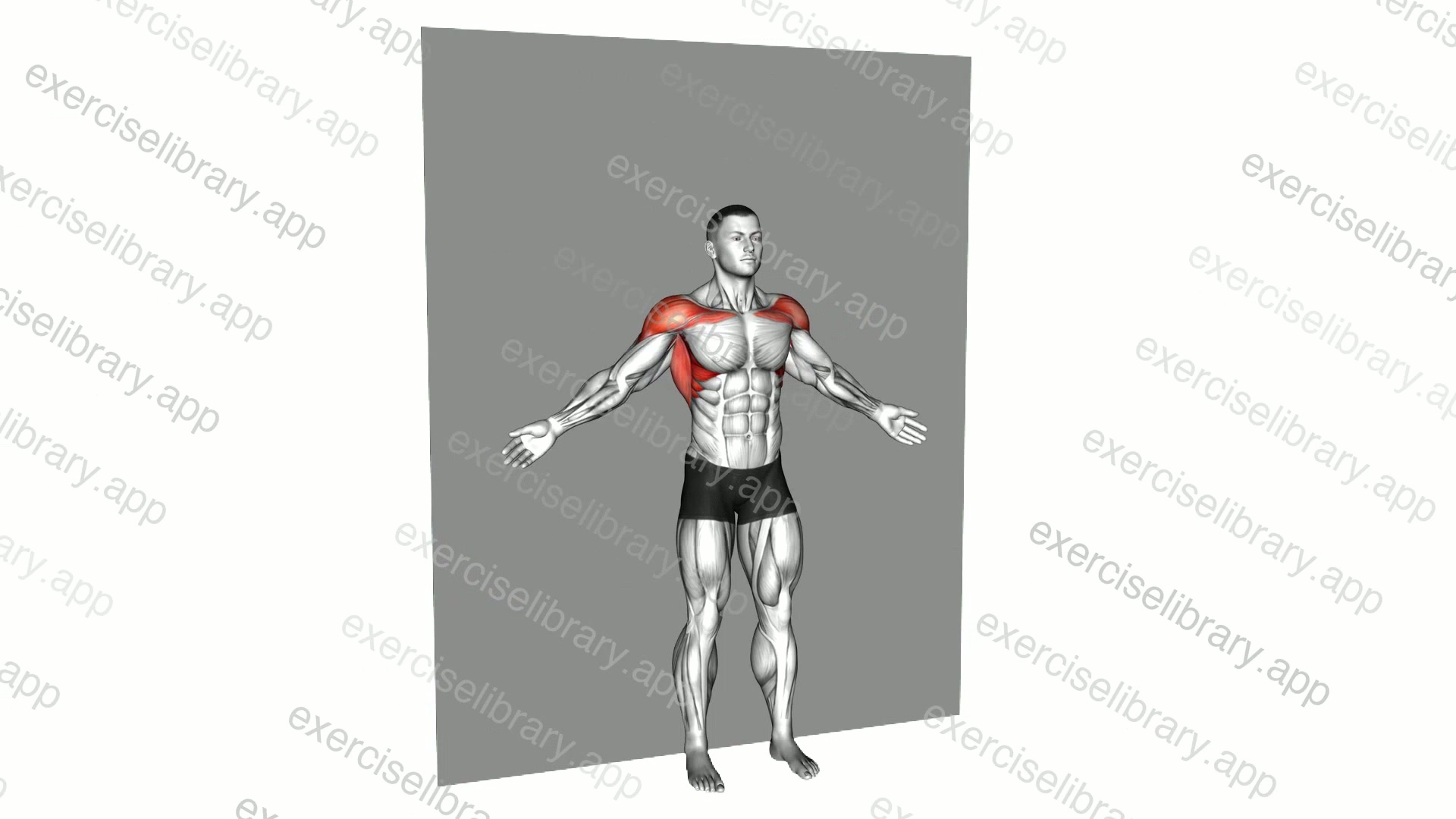 Bodyweight Standing Around World Wall Supported demonstration