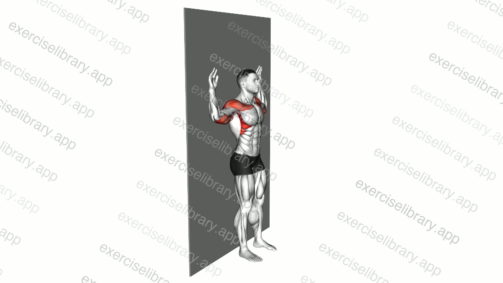 Bodyweight Standing Military Press Wall Supported demonstration