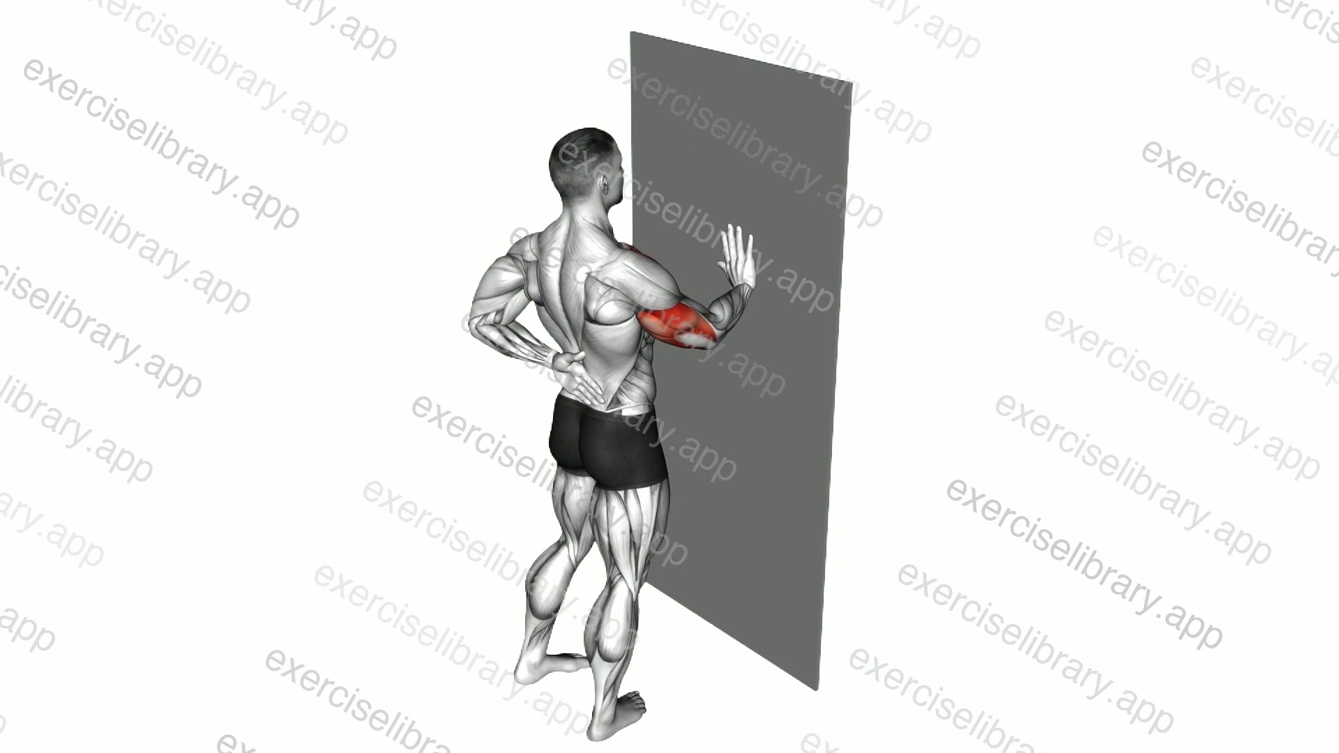 Single Arm Push-Up Supported Wall demonstration
