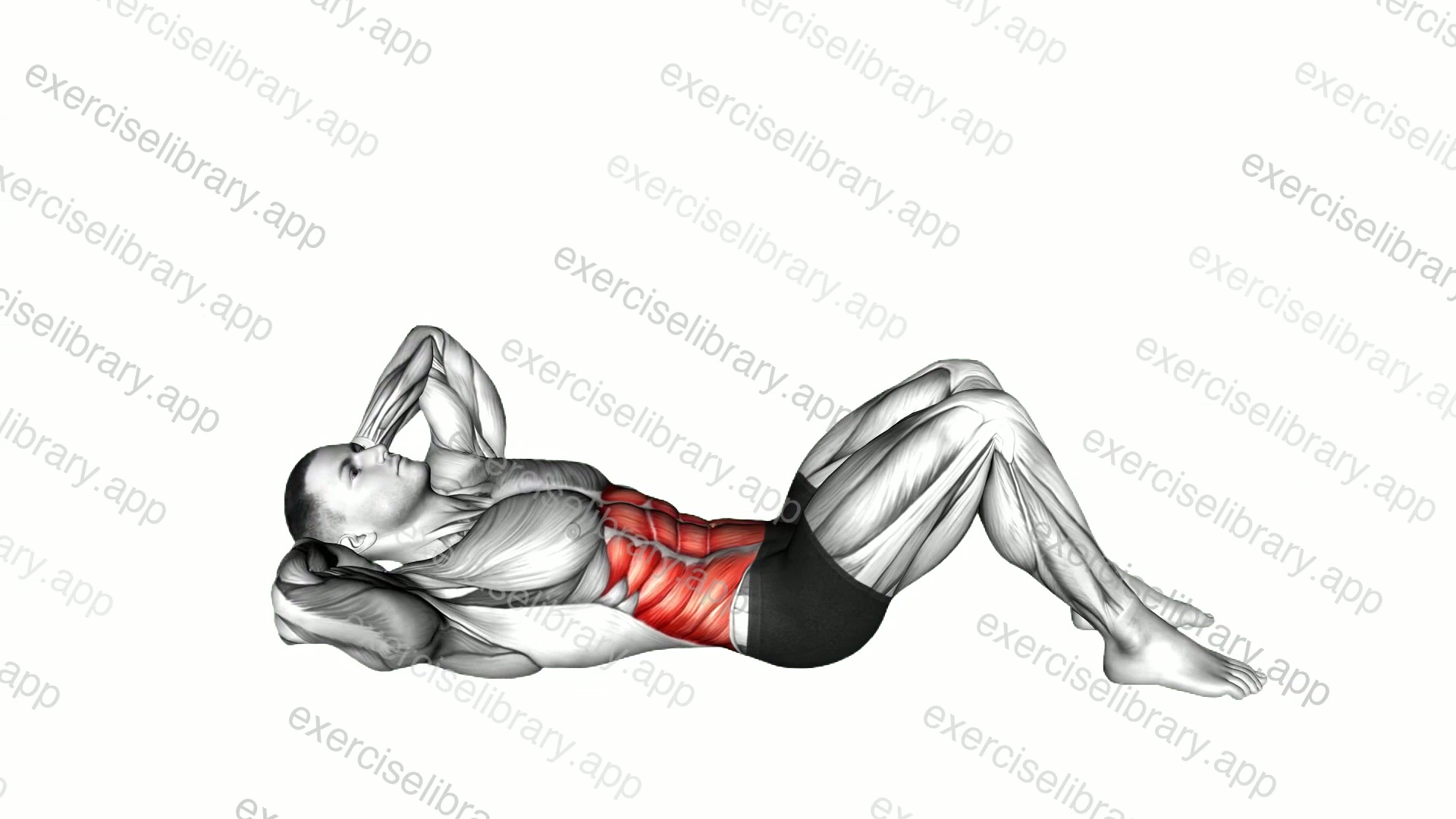 Twisting Crunch demonstration