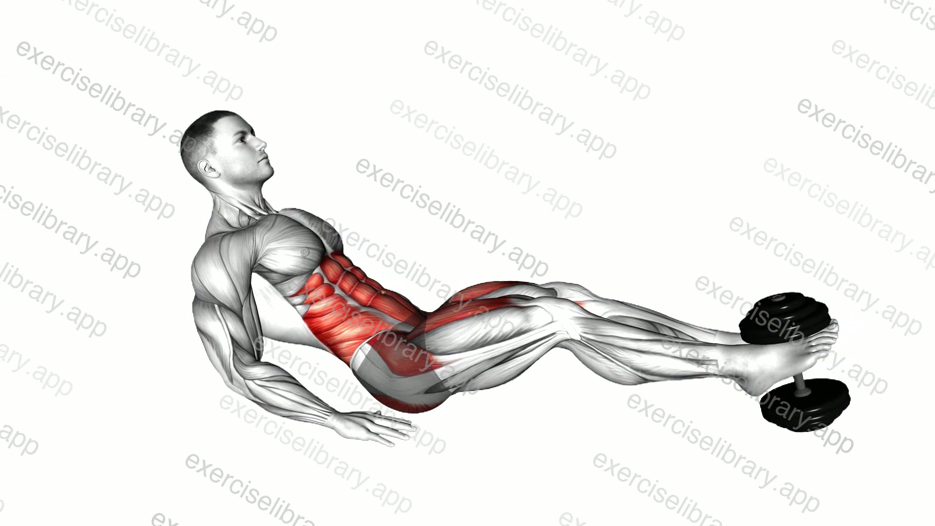 Weighted Seated Tuck Crunch on Floor demonstration
