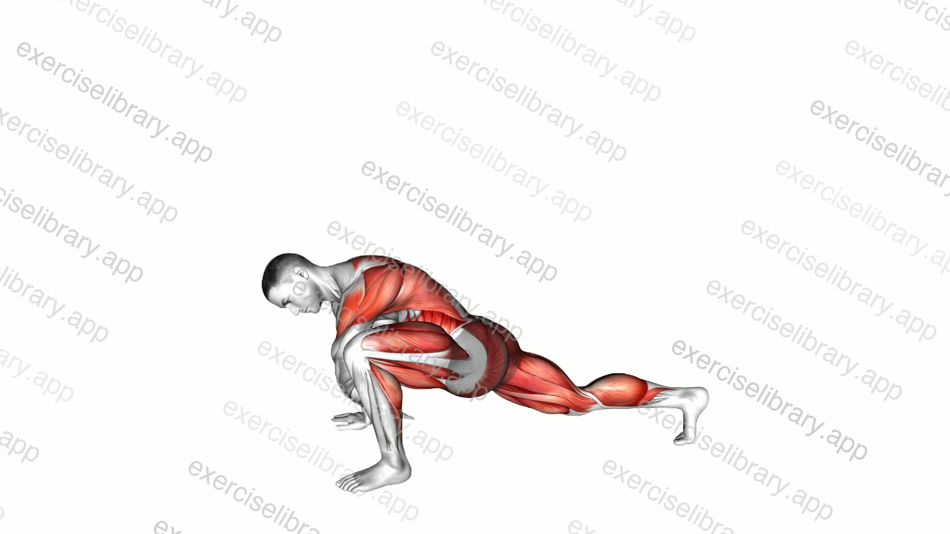 Worlds Greatest Stretch demonstration