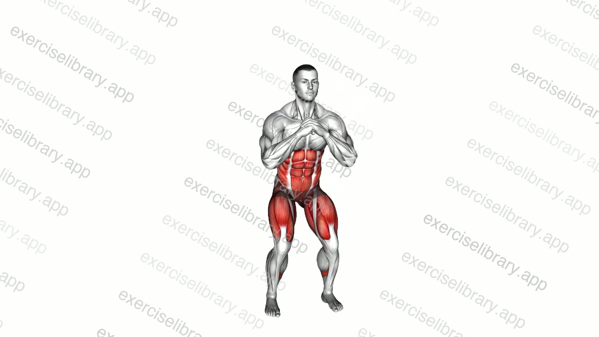 Squat Side Power Kick demonstration