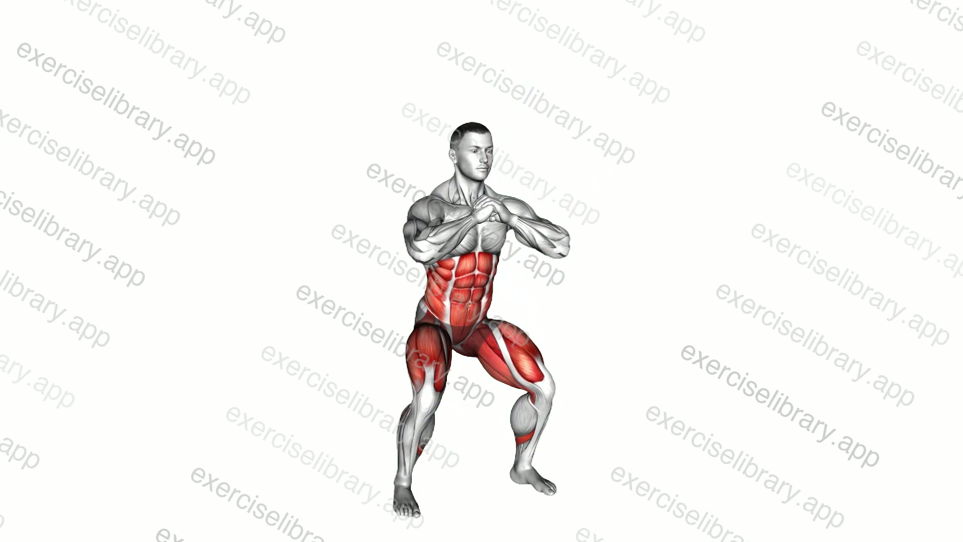 High Knee Squat demonstration