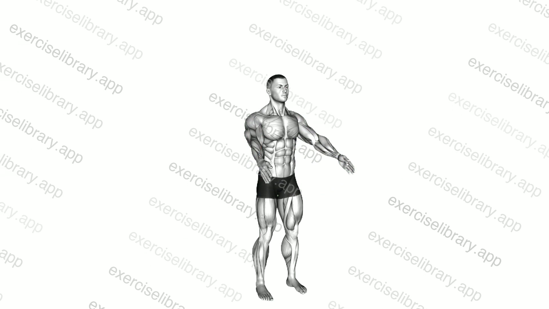 Dynamic Back Stretch demonstration