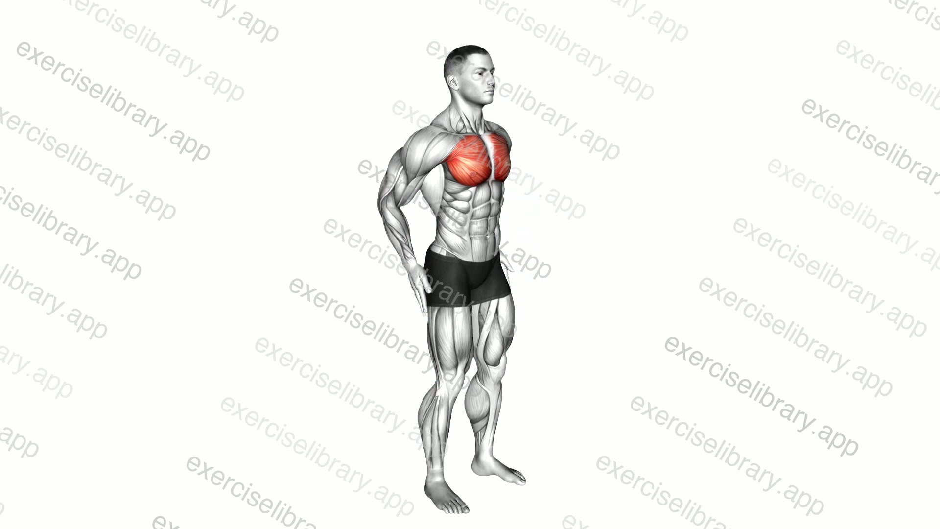 Elbows Back Stretch demonstration
