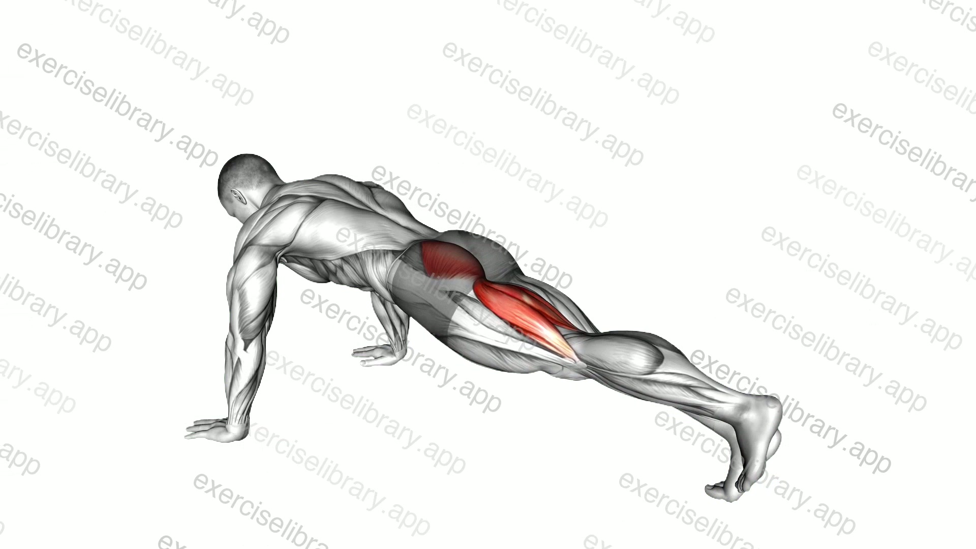 Hip Extension Stretch demonstration