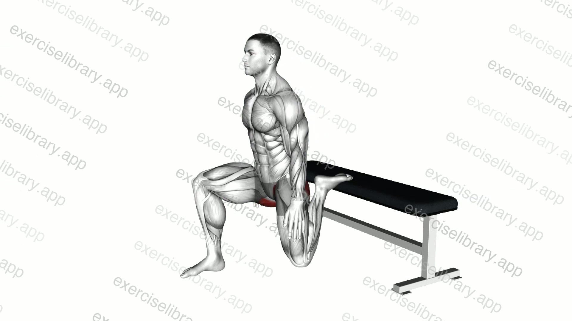Hip Flexor Stretch Rear foot elevated demonstration