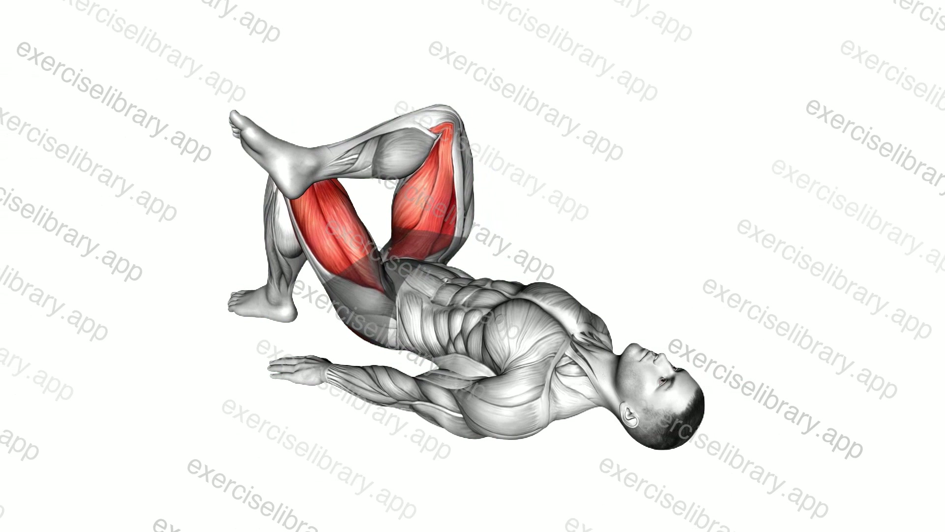 Leg Over Knee Glute Bridge demonstration