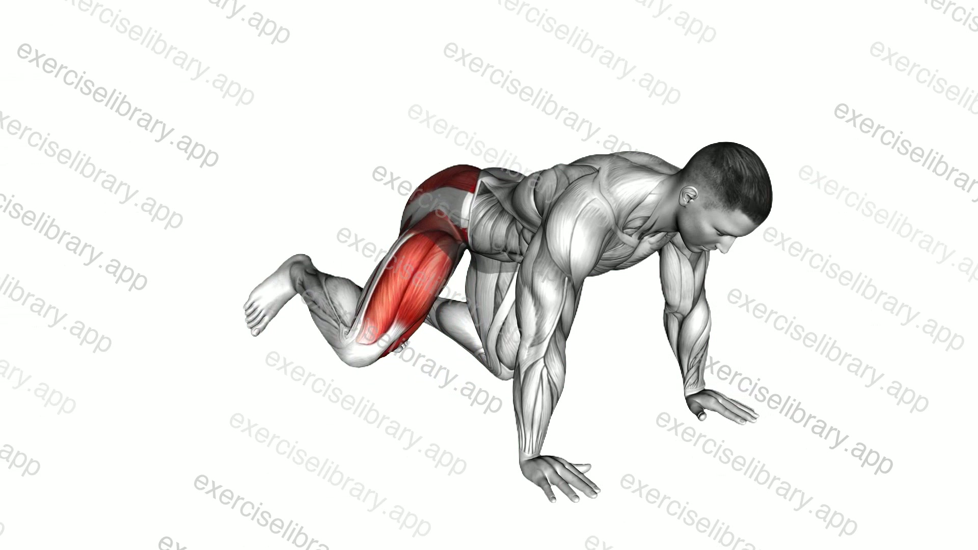 Kneeling Side Leg to Kick demonstration
