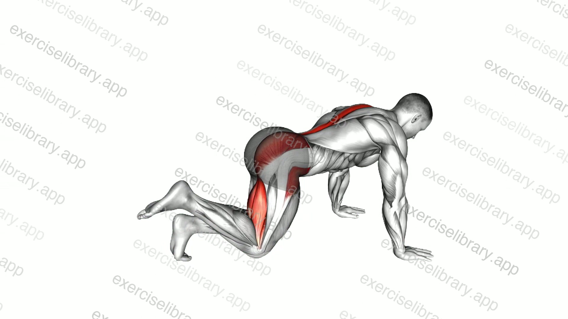 Bent Knee Back to Side Kick demonstration