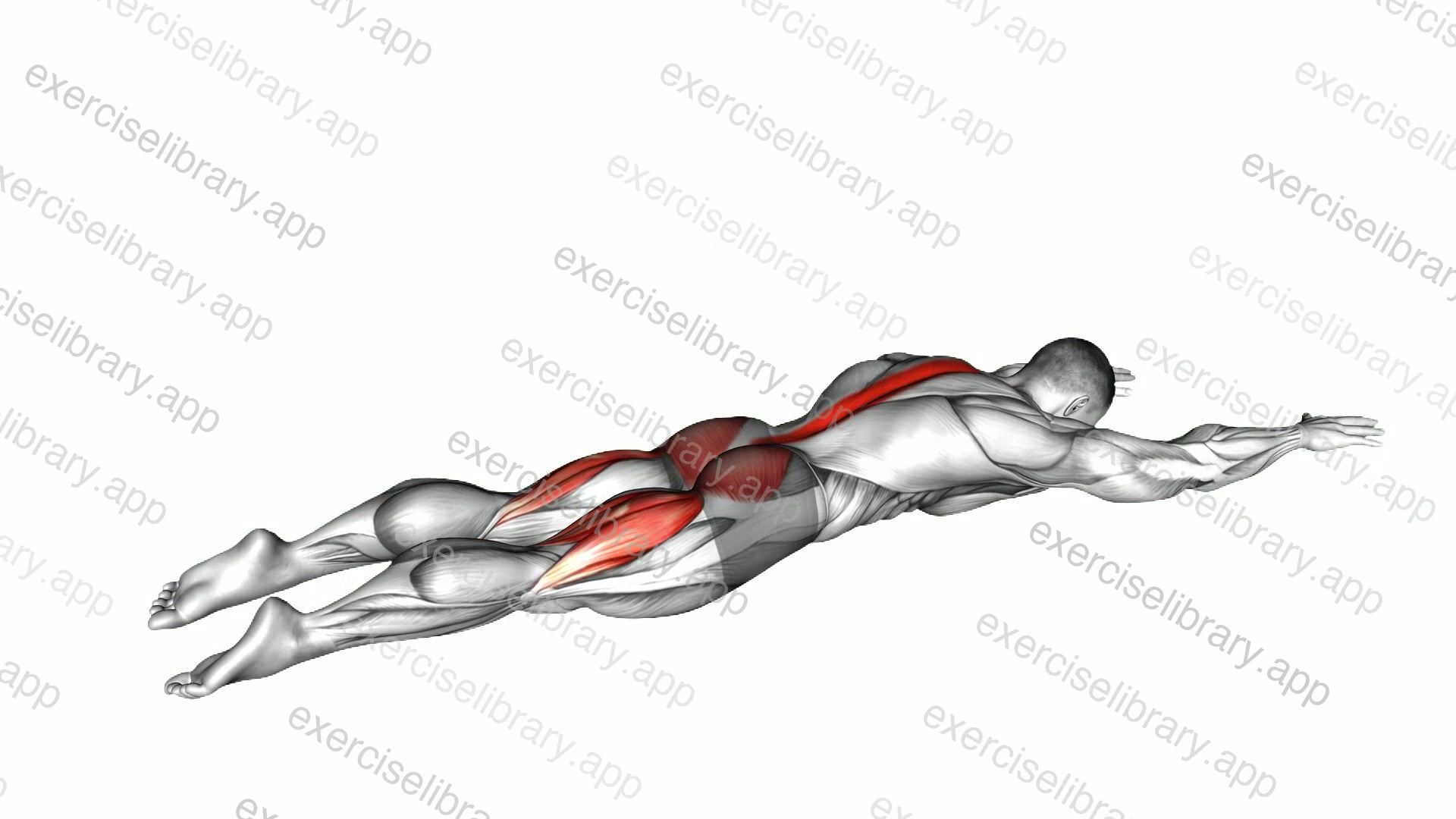Alternating Superman demonstration
