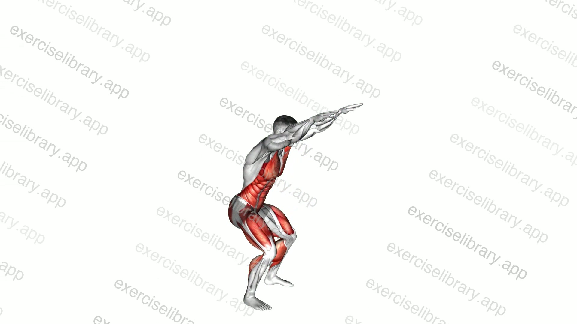Silent Burpee demonstration