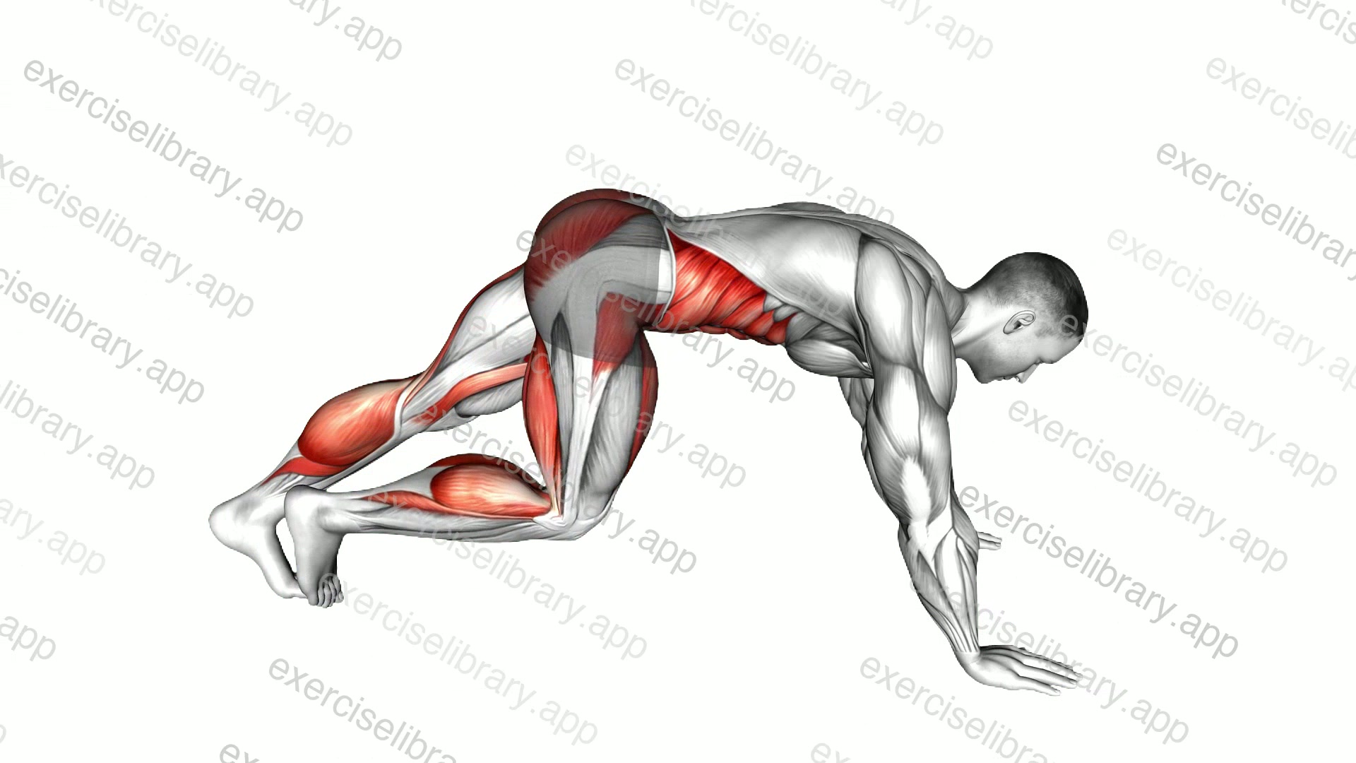 Mountain Climber Walk demonstration