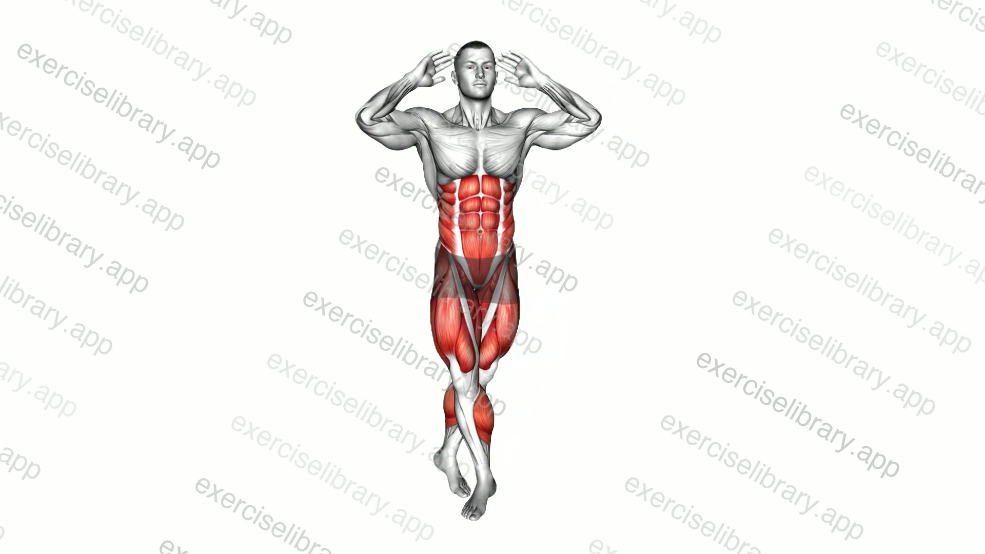 Criss Cross Elbow To Knee demonstration