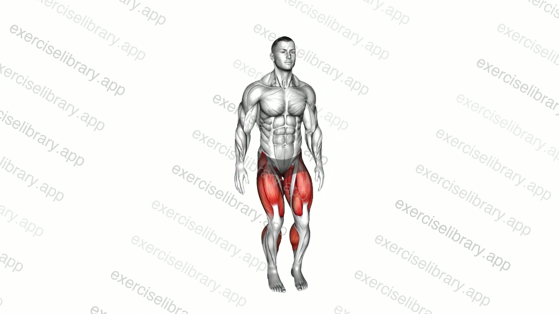 Lateral Hops demonstration