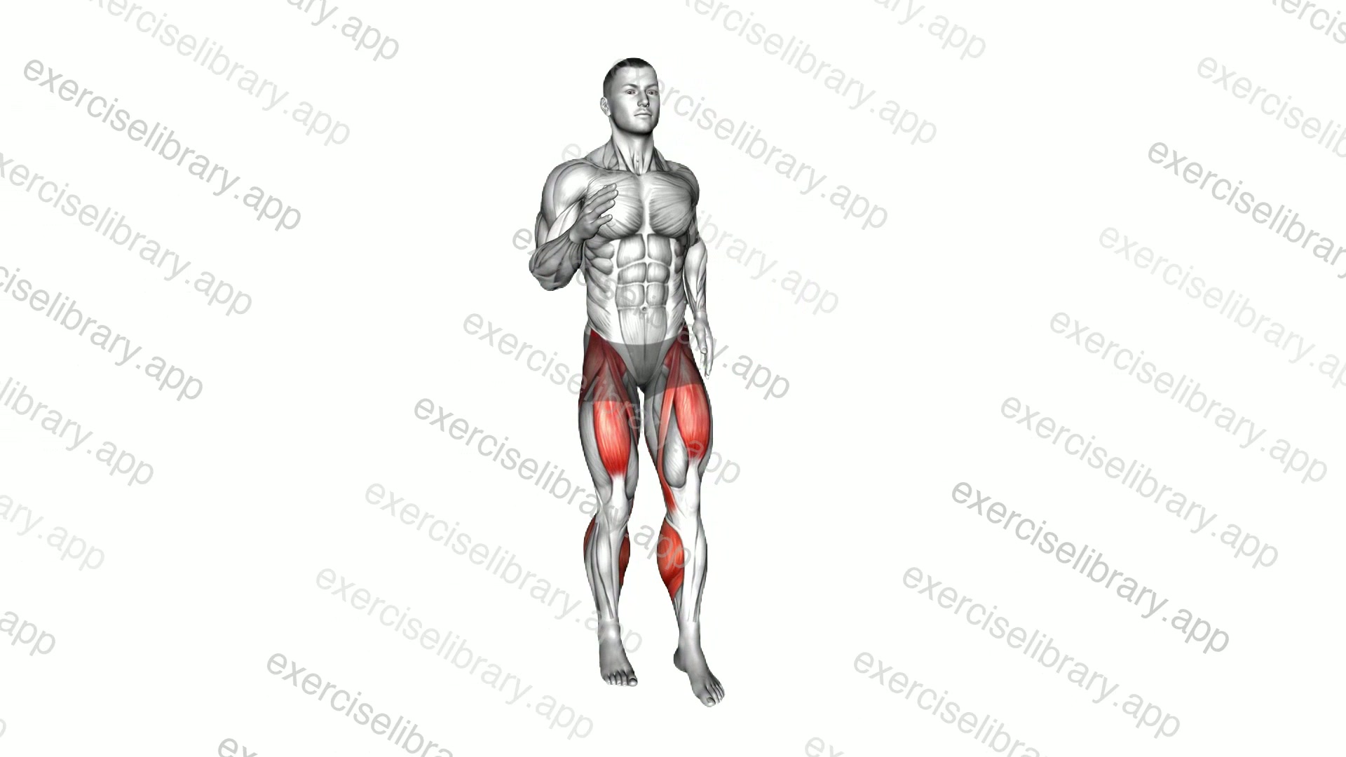 Alternate Front Kick in Place demonstration