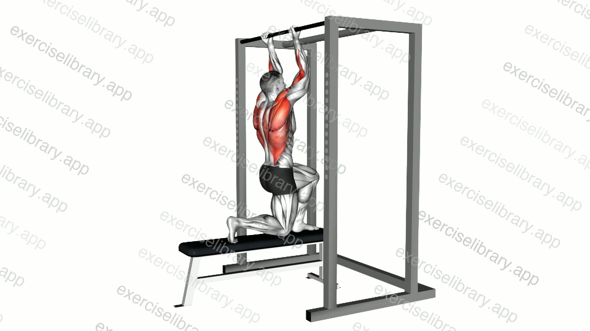 Assisted Chin-up demonstration