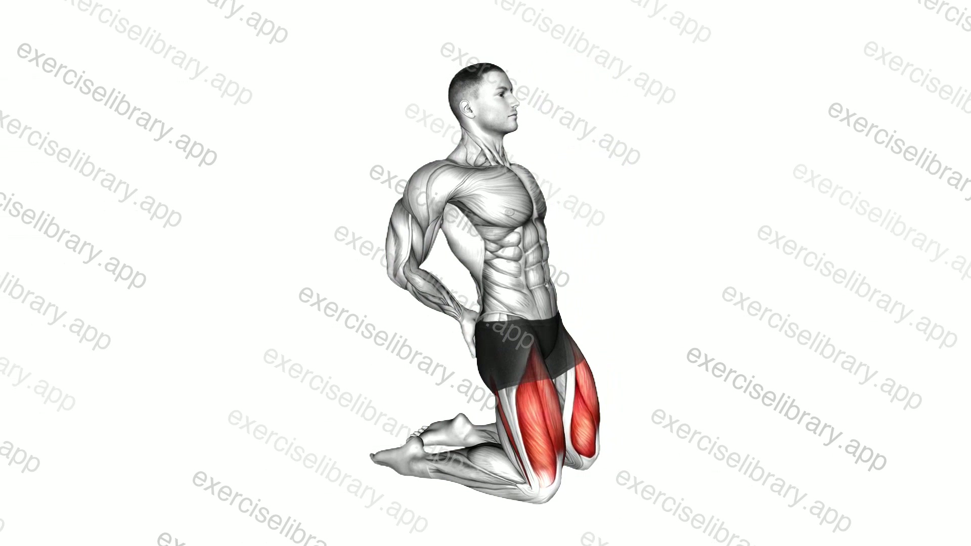 Bodyweight Kneeling Sissy Squat demonstration