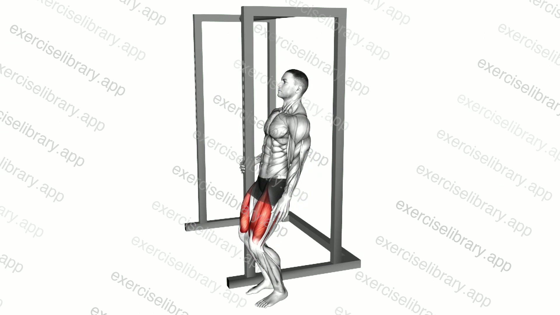 Bodyweight Standing Sissy Squat demonstration