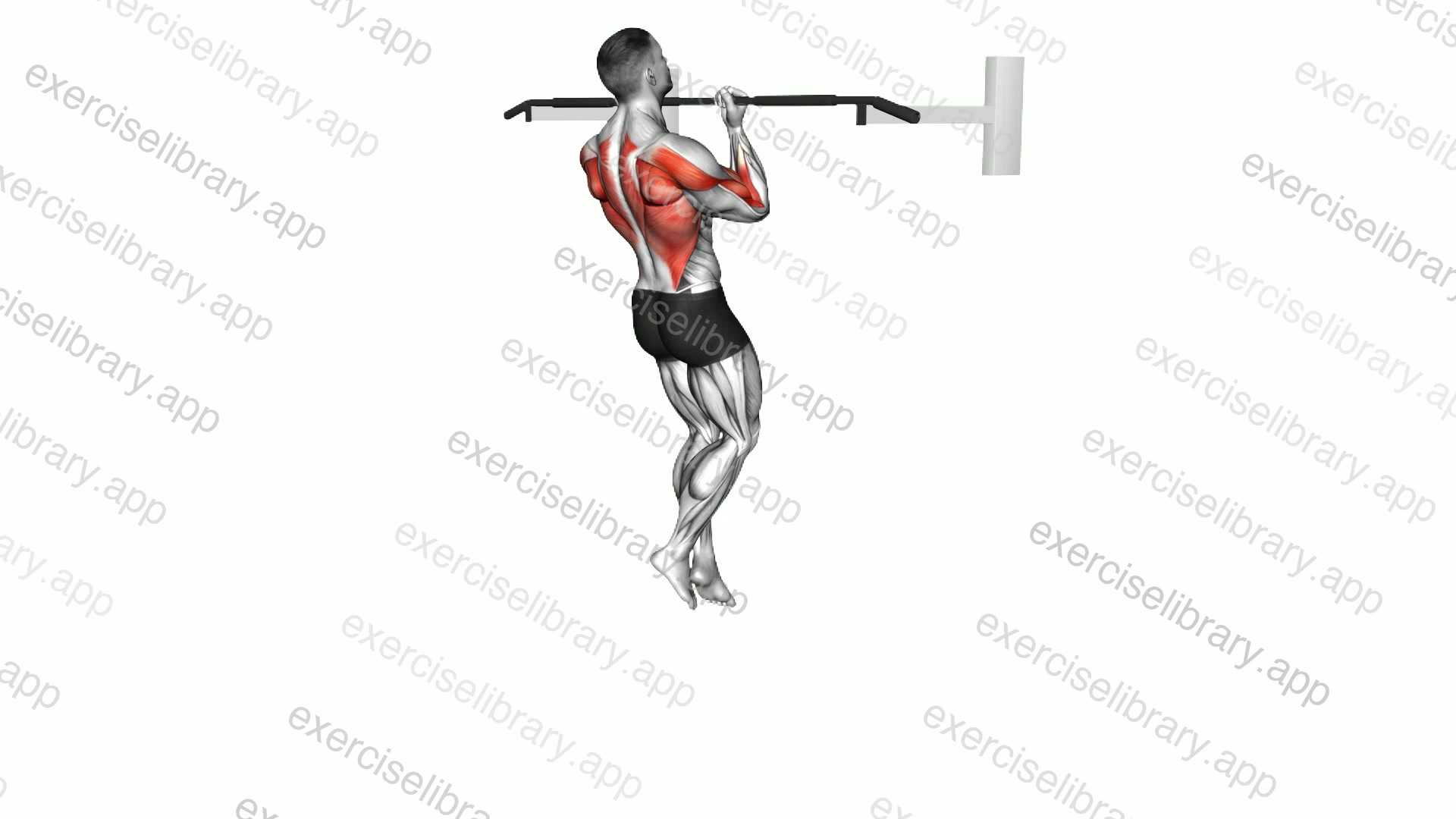 Chin-up demonstration