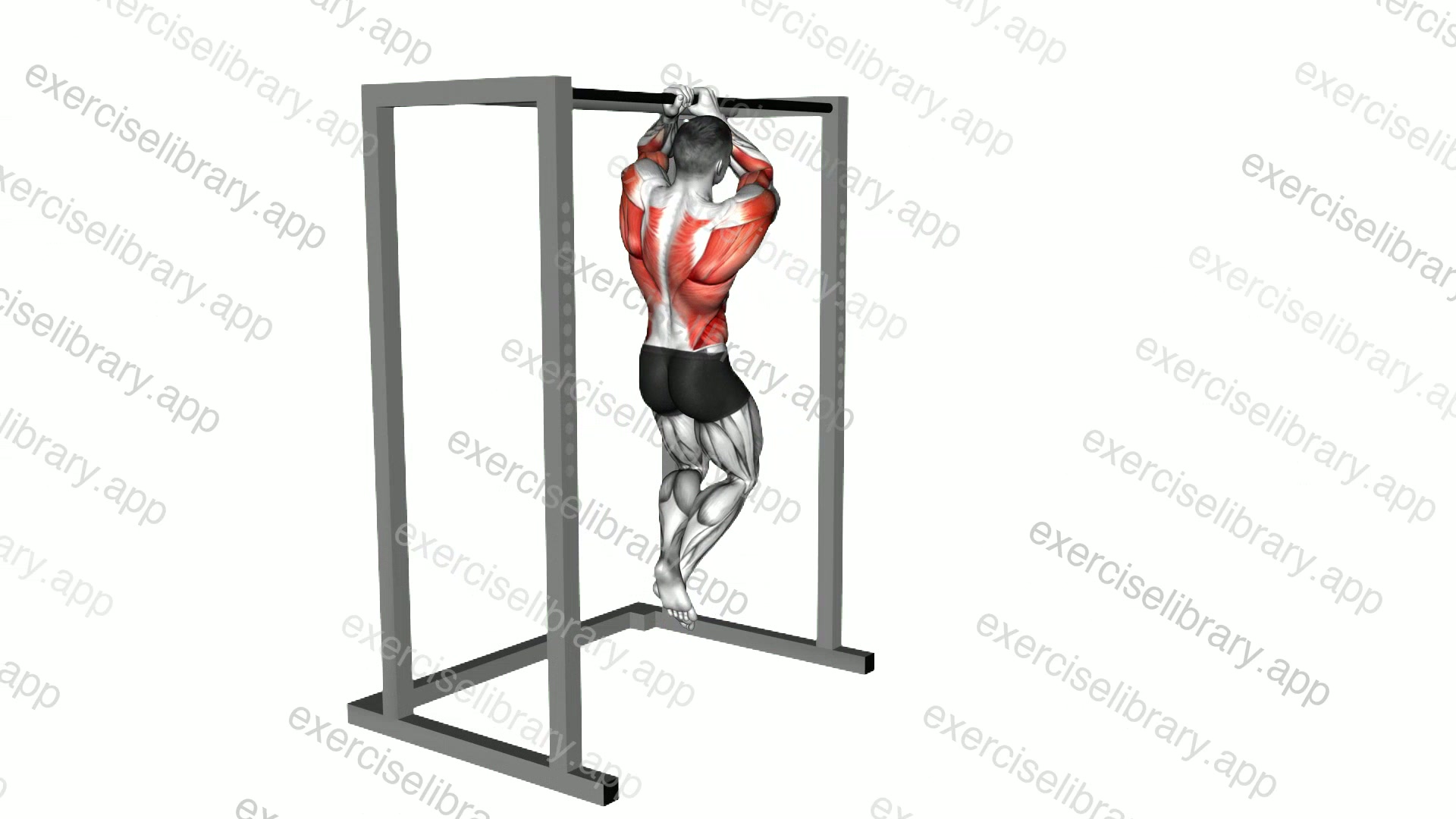 Commando Pull-up demonstration