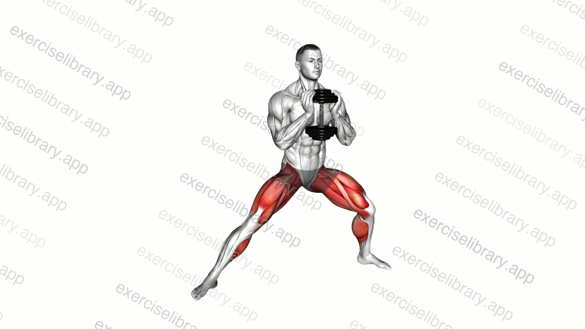 Dumbbell Cossack Squats demonstration
