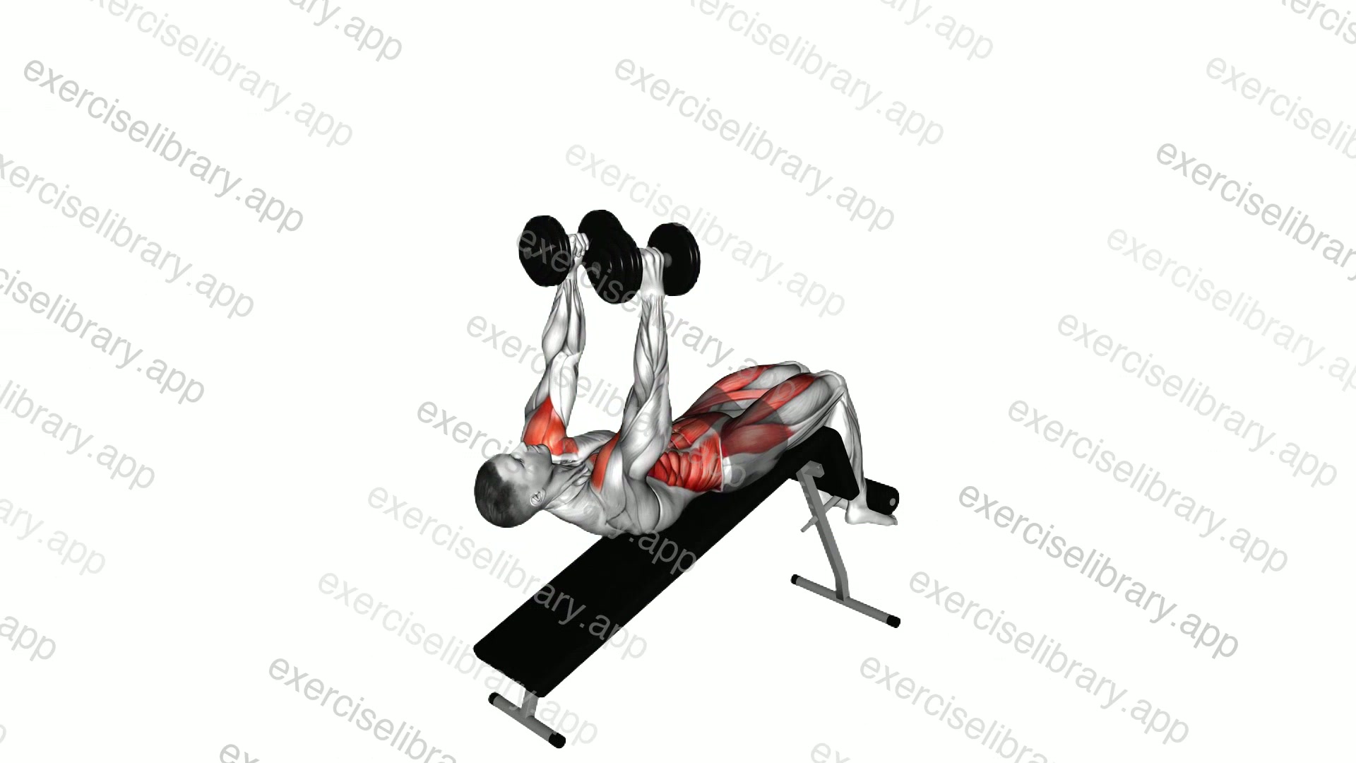 Dumbbell Decline Overhead Sit-up demonstration