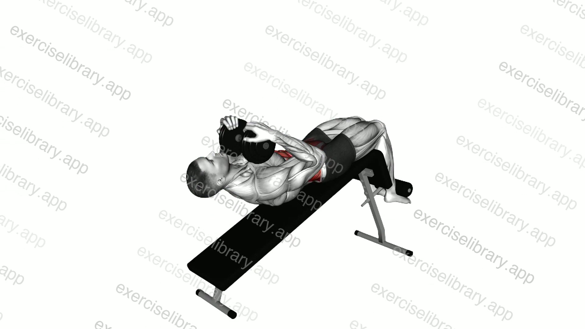 Dumbbell Decline Sit-up demonstration