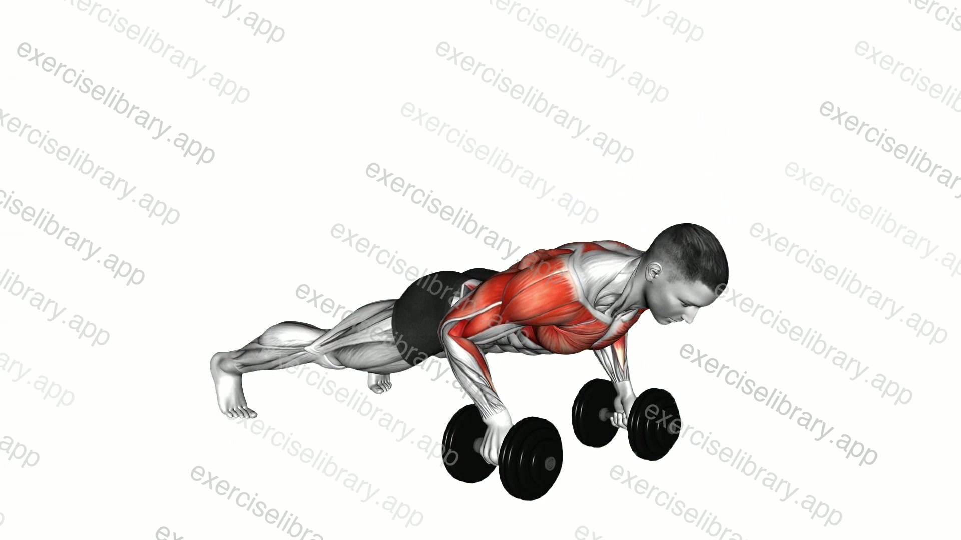 Dumbbell Deep Push-up and Renegade Row demonstration
