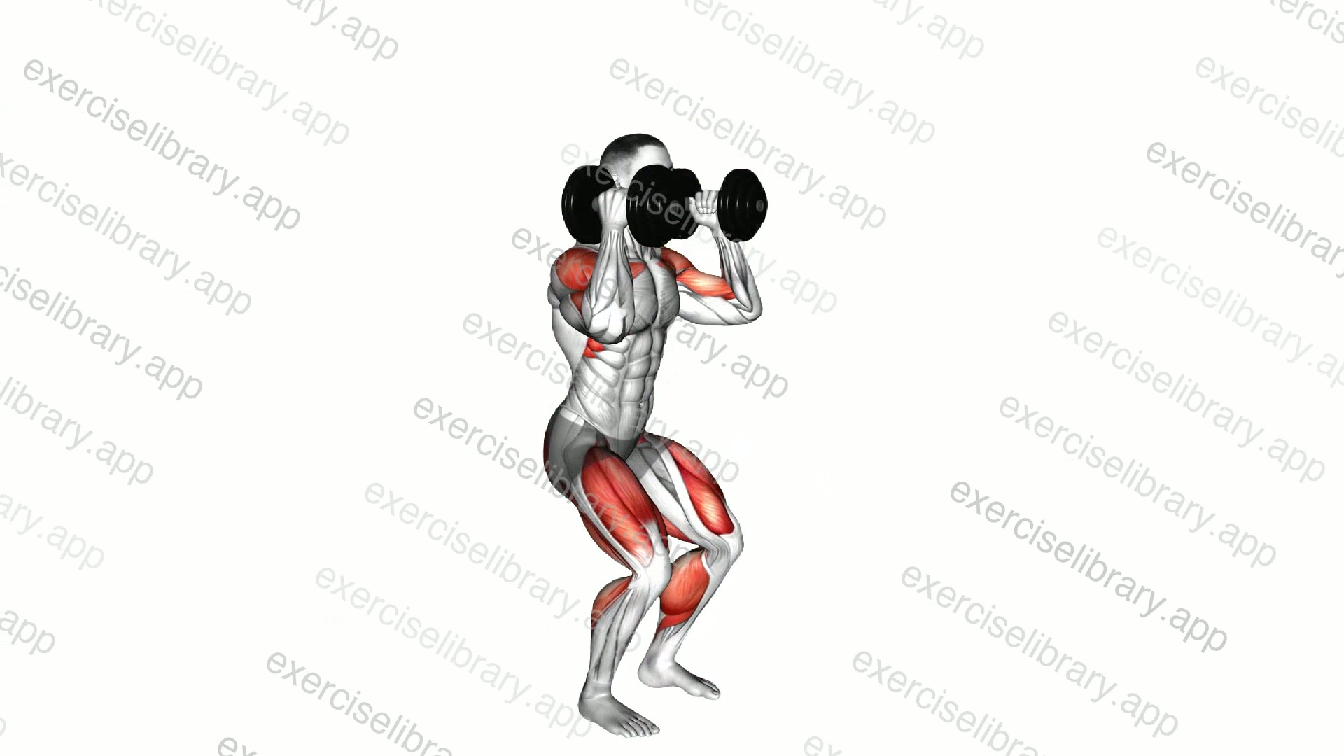 Dumbbell Hang Power Clean demonstration