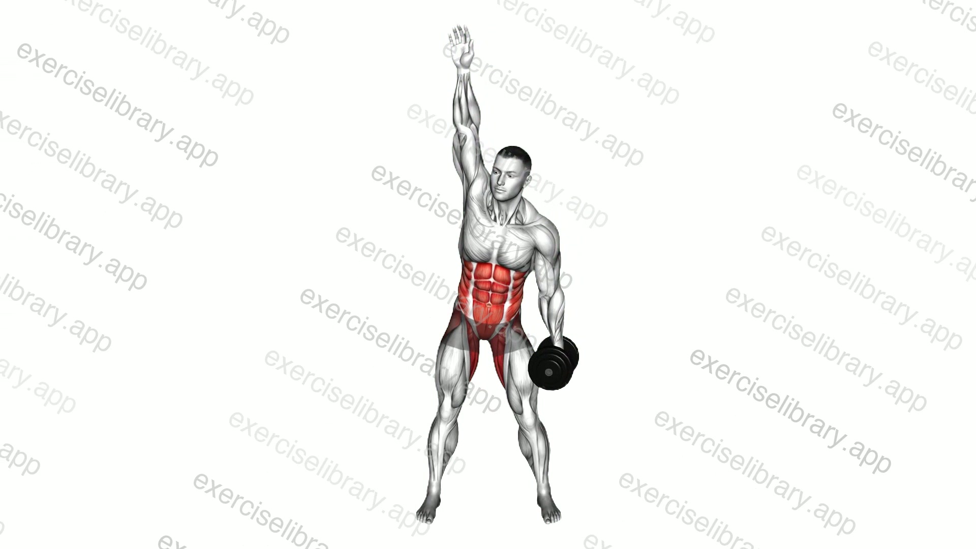 Dumbbell Low Windmill demonstration