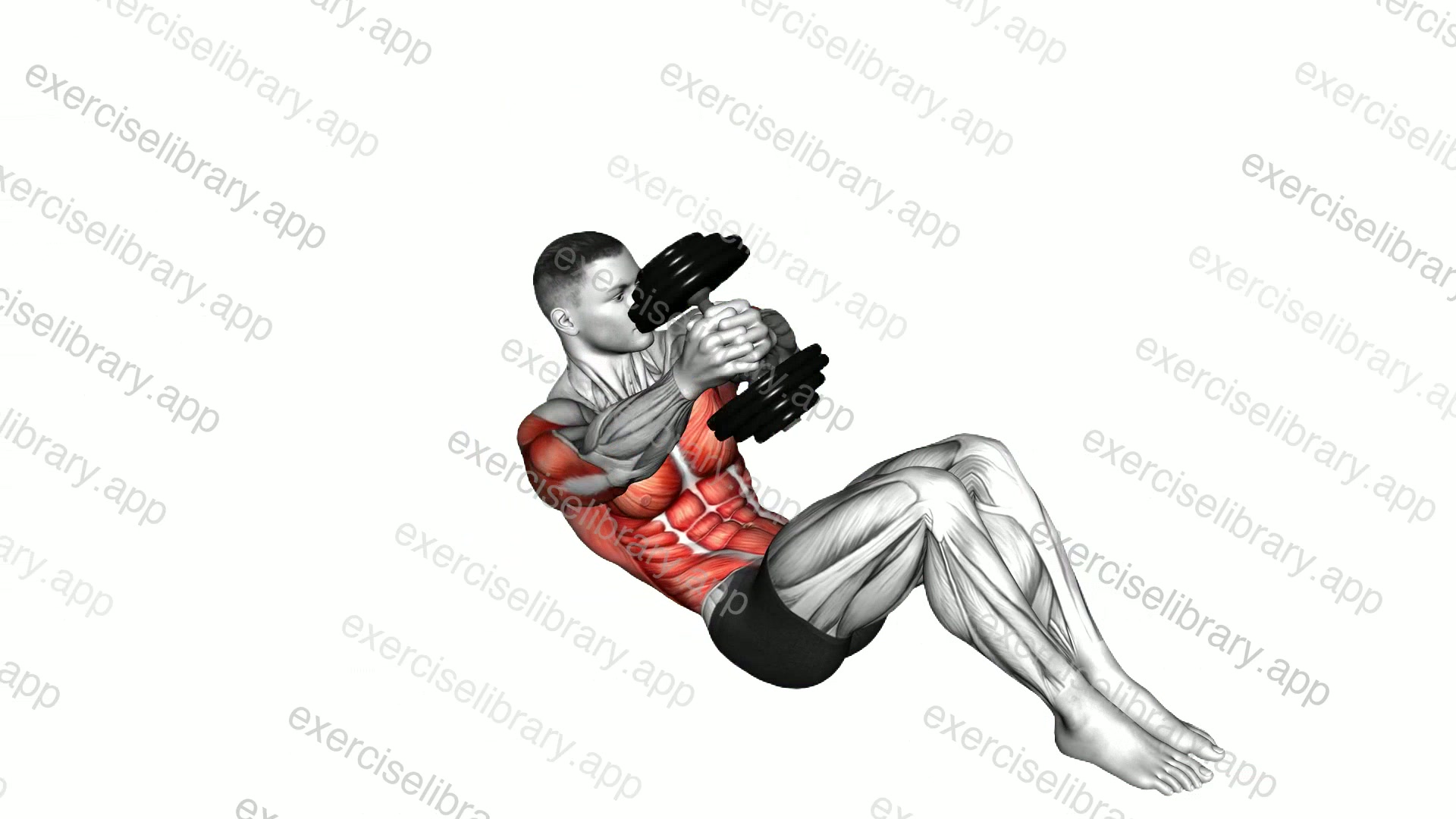 Dumbbell Lying Woodchop demonstration