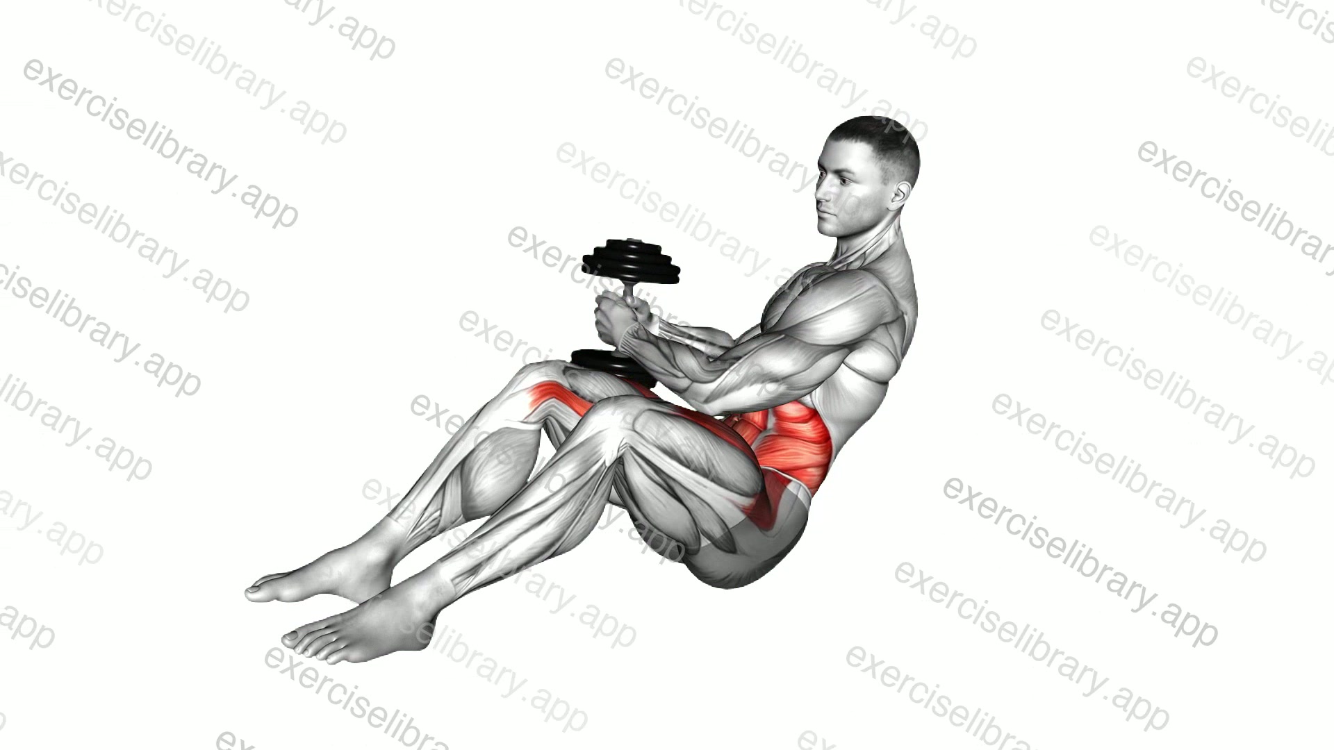 Dumbbell Russian Twist with Legs Floor Off demonstration